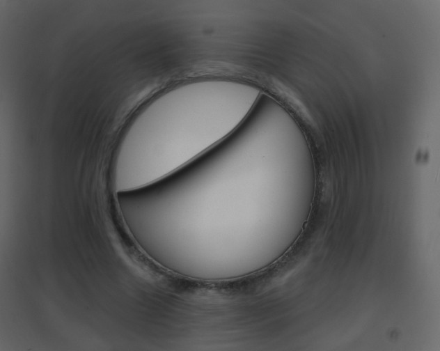 X0000096690538200802051039