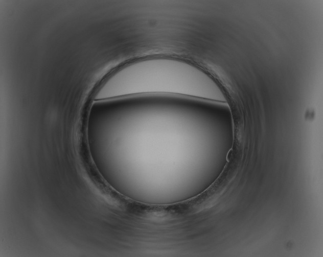 X0000096690540200802051039