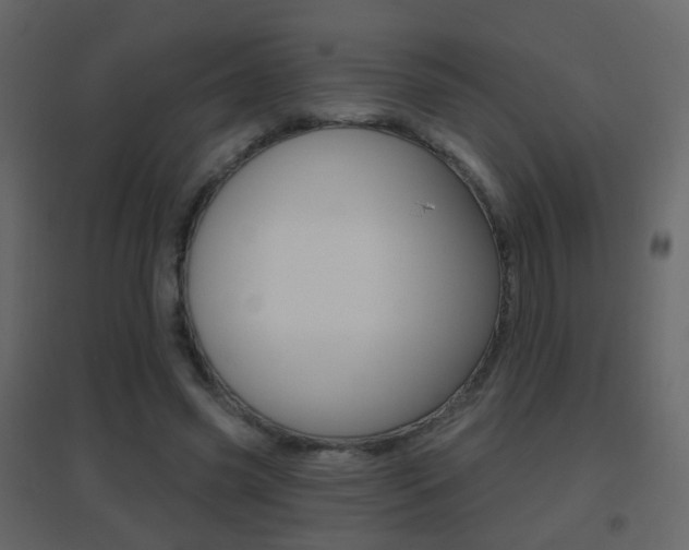 X0000096690541200802051039