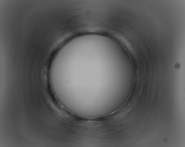 X0000096690542200802051039