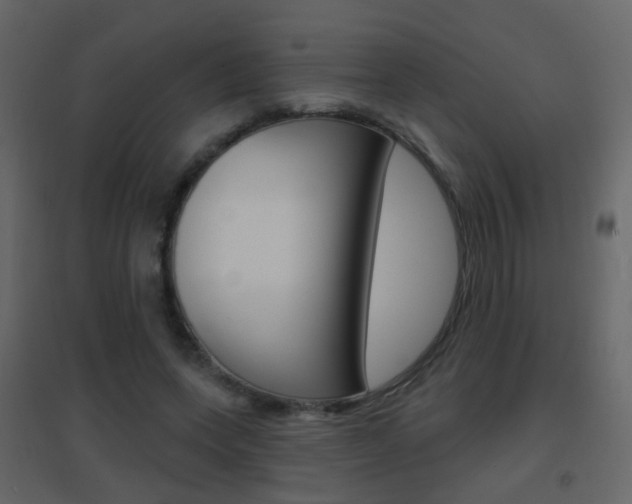 X0000096690543200802051039