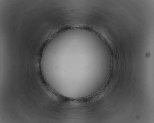 X0000096690545200802051039