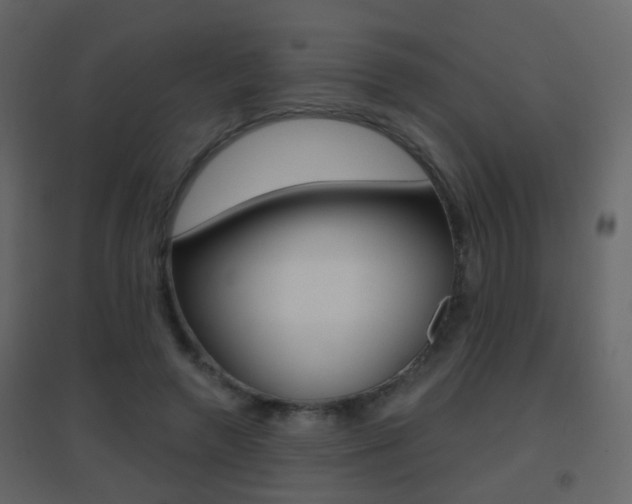 X0000096690546200802051039