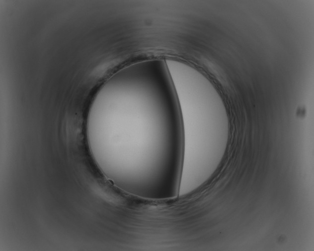 X0000096690548200802051039