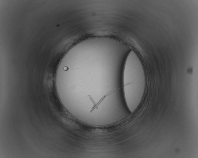 X0000096690549200802051039