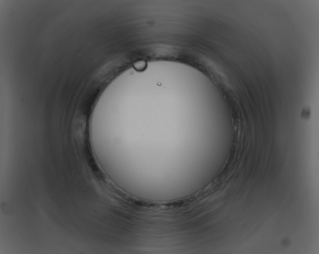 X0000096690550200802051039