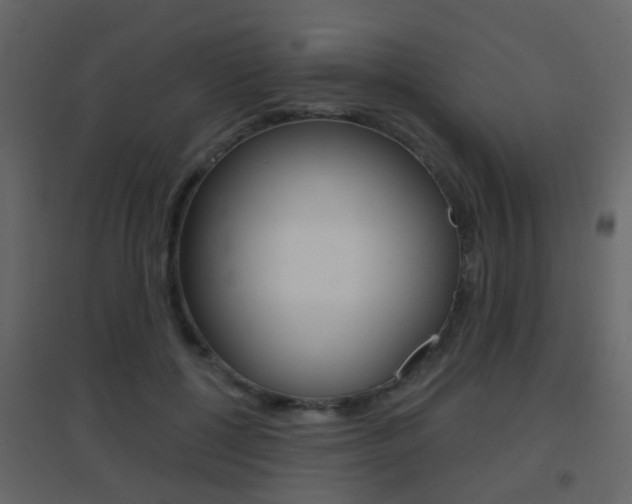 X0000096690552200802051039