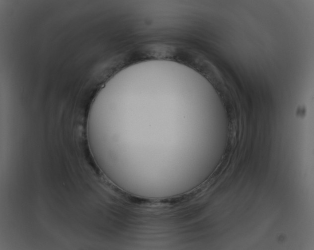 X0000096690553200802051039