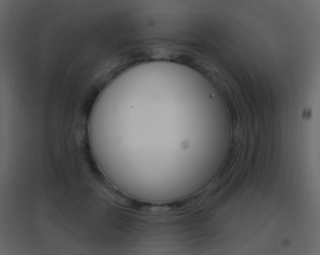 X0000096690554200802051039