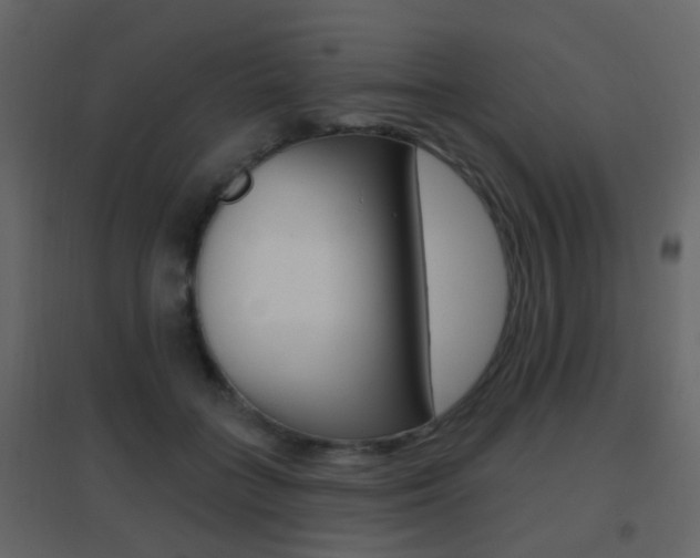 X0000096690555200802051039