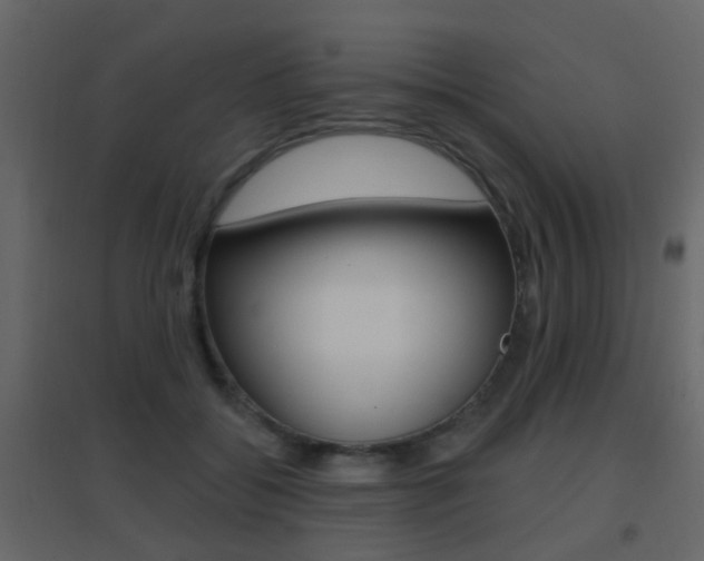 X0000096690556200802051040