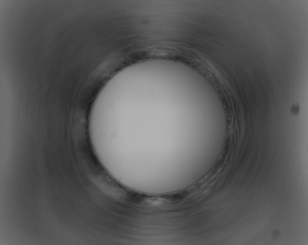 X0000096690557200802051040