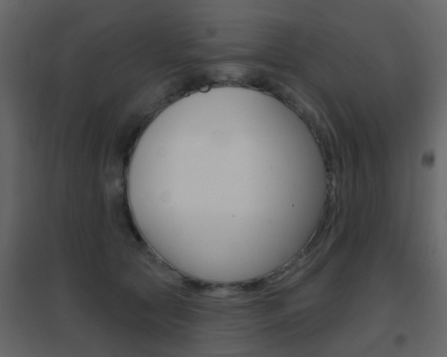 X0000096690561200802051040