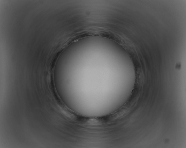 X0000096690562200802051040
