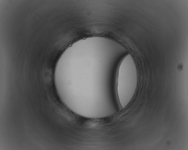 X0000096690563200802051040