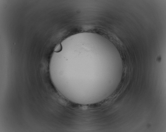 X0000096690565200802051040