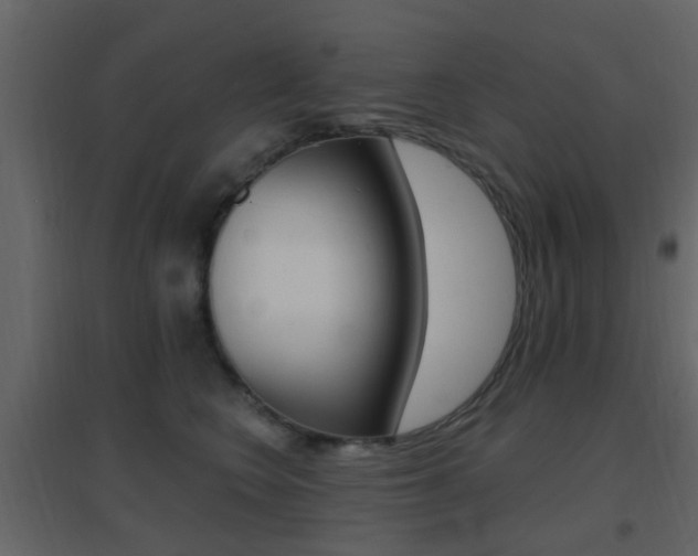 X0000096690566200802051040