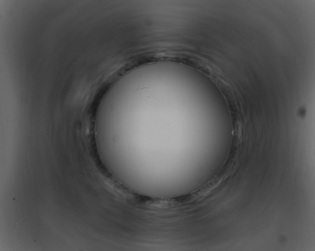X0000096690567200802051040