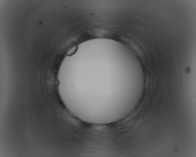 X0000096690569200802051040