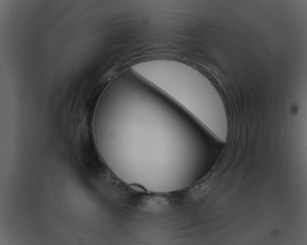 X0000096690572200802051040