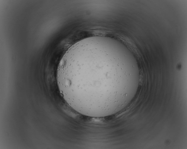 X0000096690573200802051040
