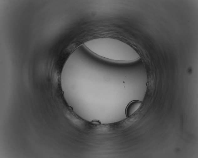 X0000096690574200802051040