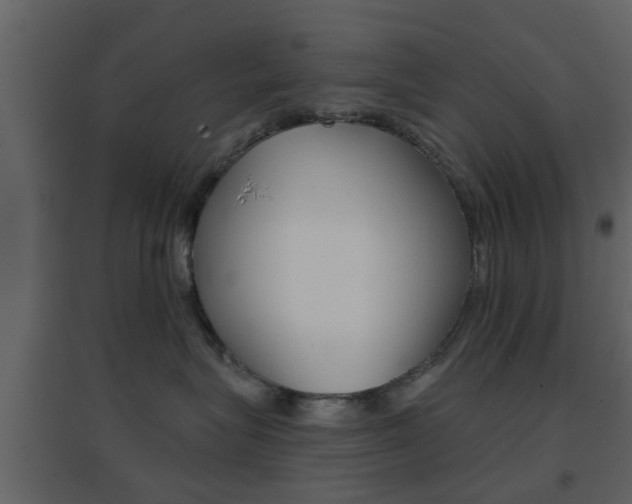 X0000096690575200802051040