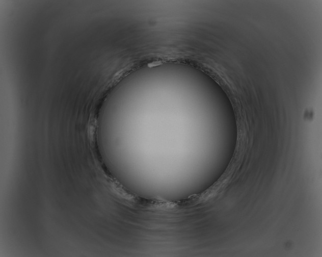 X0000096690576200802051040