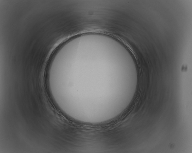 X0000096690579200802051039
