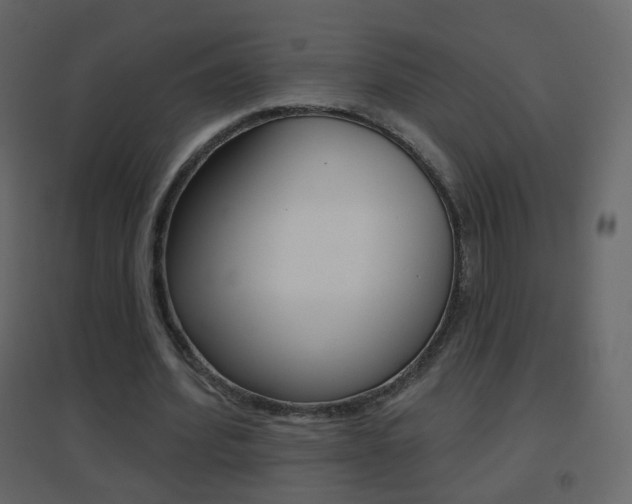 X0000096690580200802051039