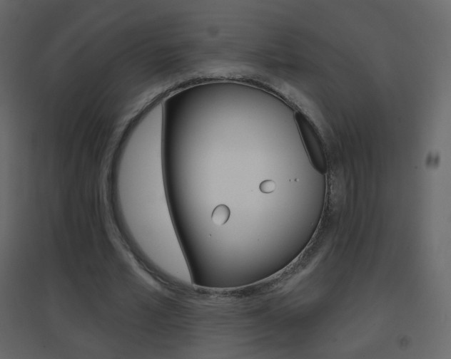 X0000096690581200802051039