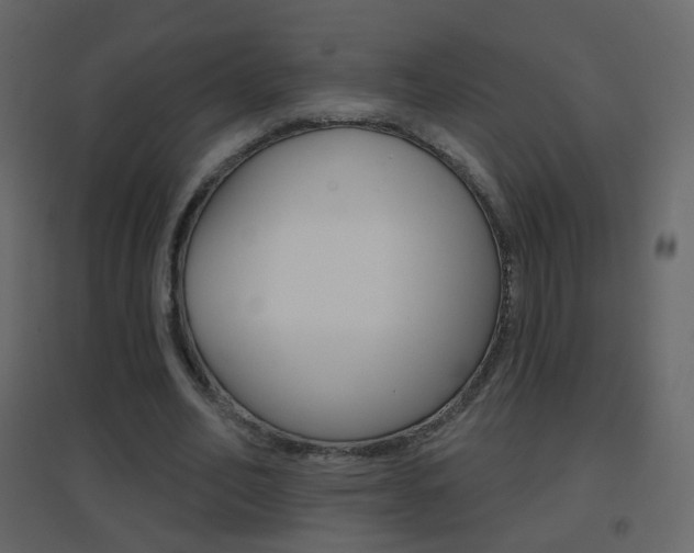 X0000096690582200802051039