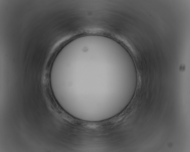 X0000096690583200802051039