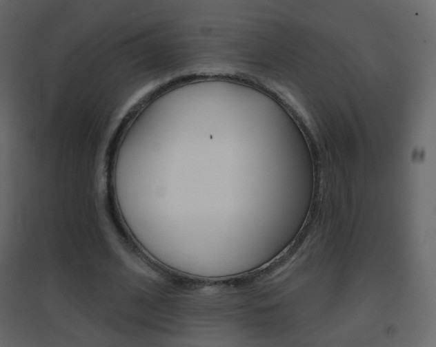 X0000096690584200802051039