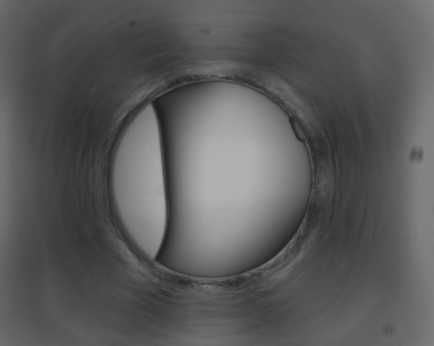 X0000096690585200802051039