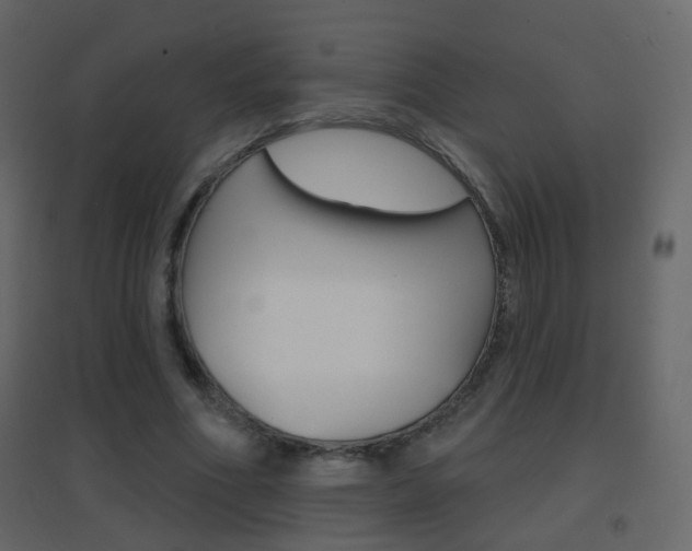 X0000096690586200802051039