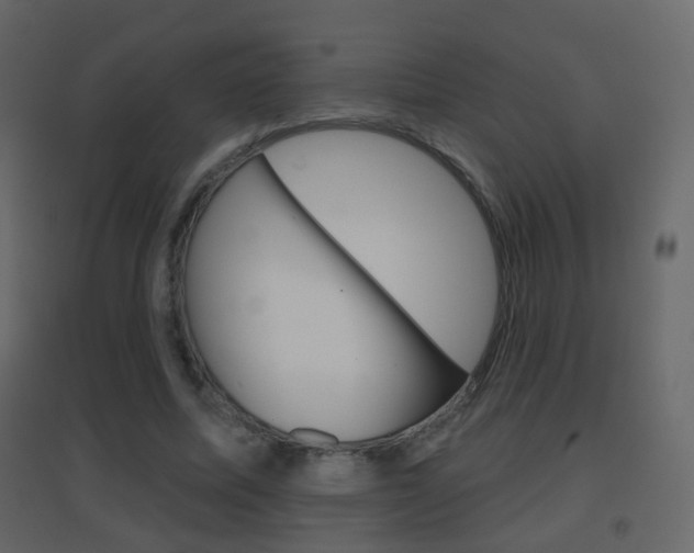 X0000096690587200802051039
