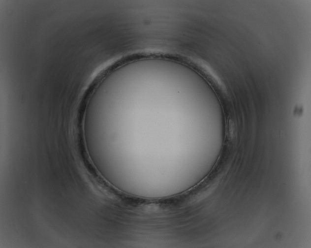 X0000096690588200802051039