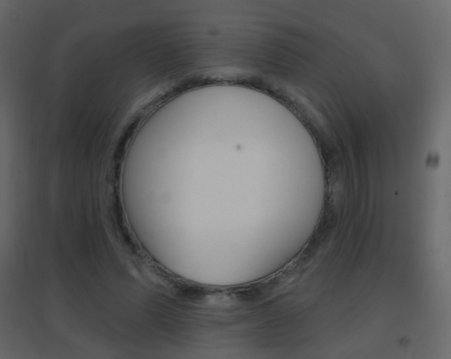 X0000096690591200802051039