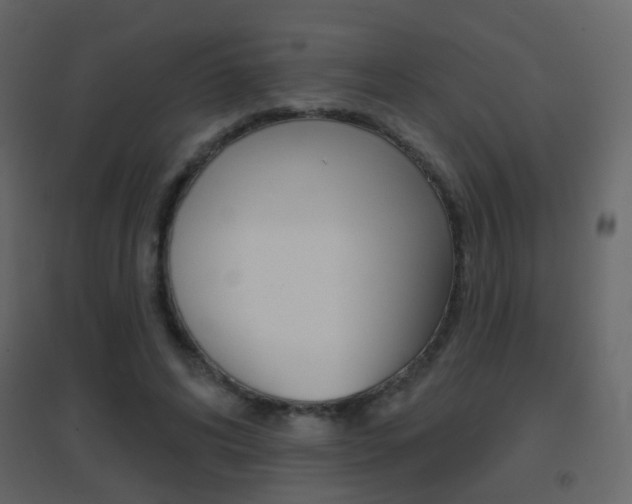 X0000096690592200802051039