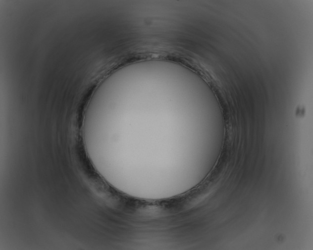 X0000096690594200802051039