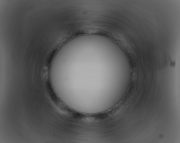 X0000096690598200802051039