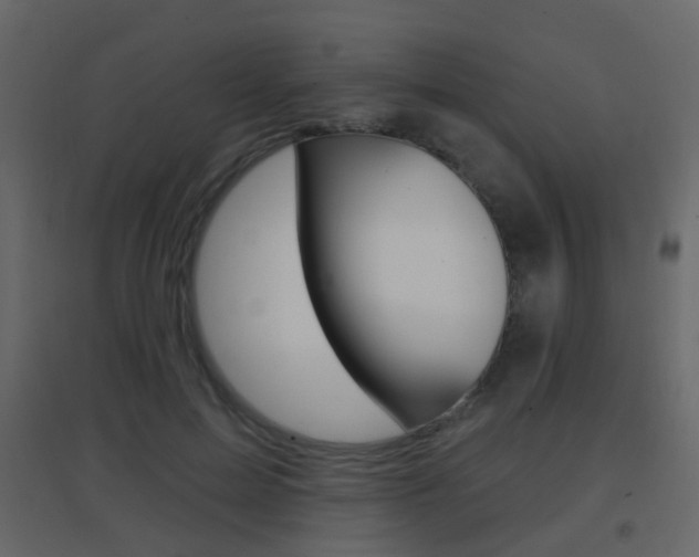 X0000096690599200802051039