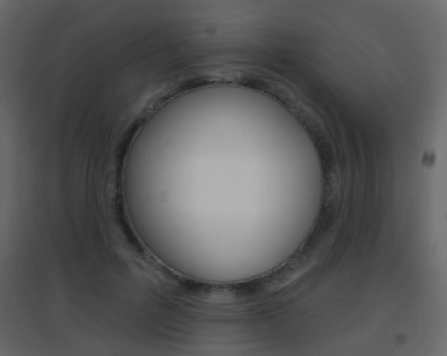 X0000096690600200802051039