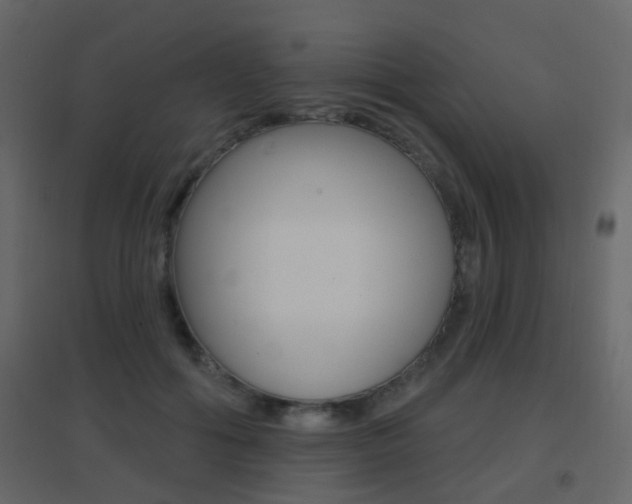 X0000096690602200802051039