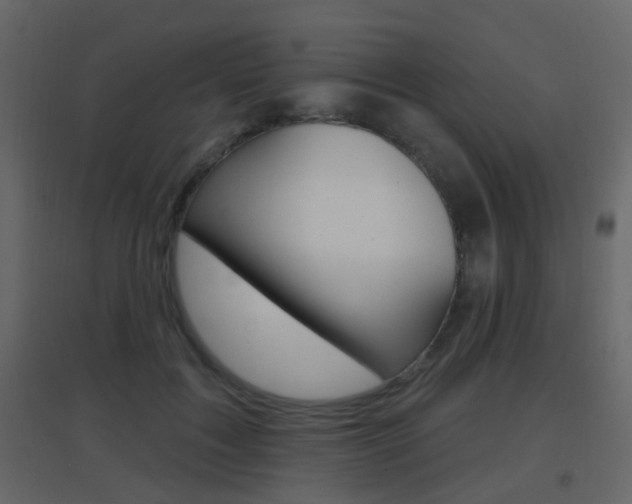 X0000096690603200802051039