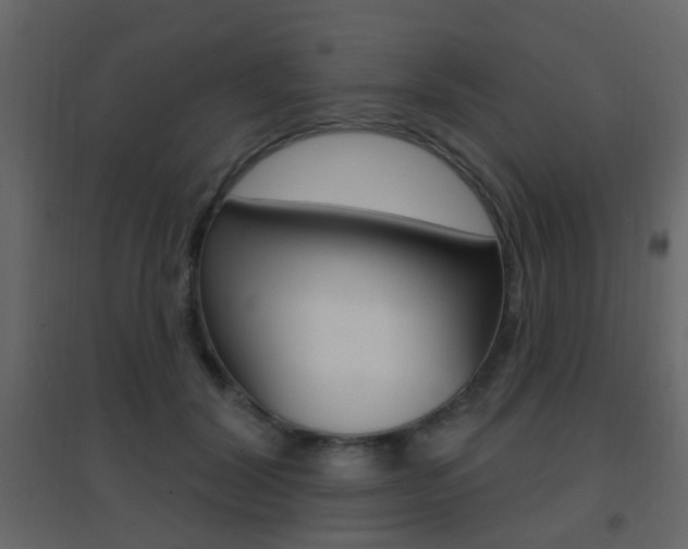 X0000096690604200802051039