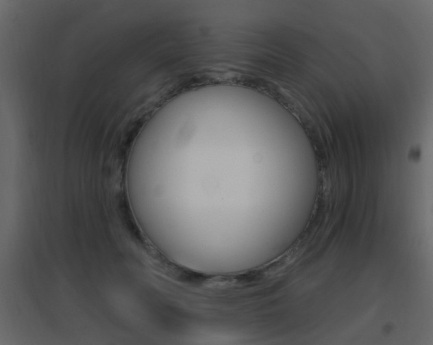 X0000096690606200802051039