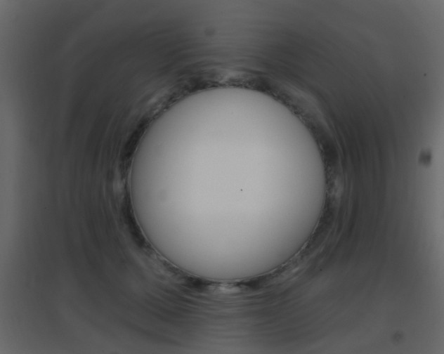 X0000096690607200802051039
