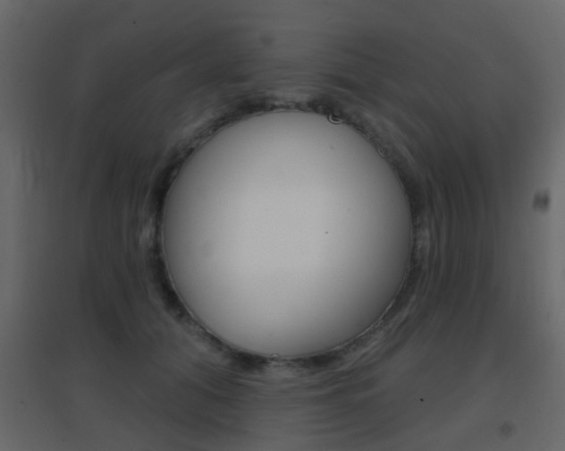 X0000096690608200802051039